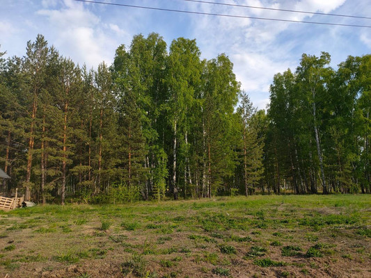 Продам участок 10 соток, ИЖС, Михаила Дьяконова ул, Фирсово с, 0 км от города