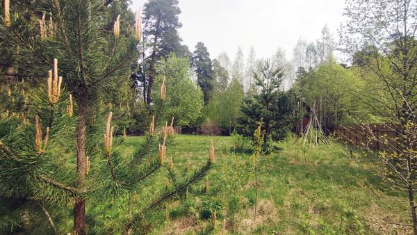 Продам участок 13,65 соток, ИЖС, Зимогорье д, 0 км от города