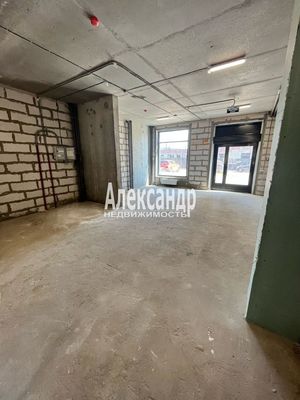 Сдам торговое помещение 257 м2, Голландская ул, 18к1, Янино-1 гп