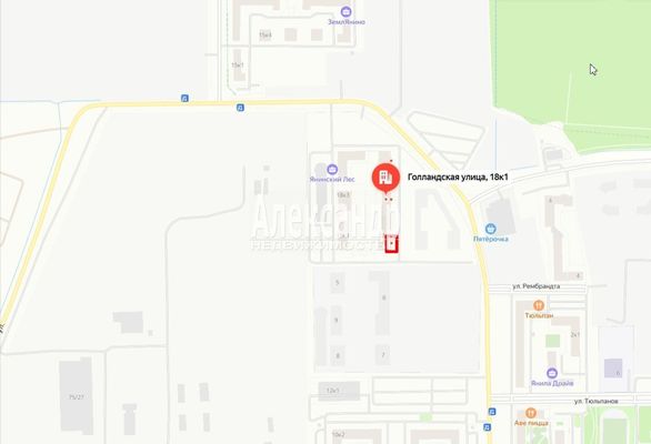 Сдам торговое помещение 257 м2, Голландская ул, 18к1, Янино-1 гп