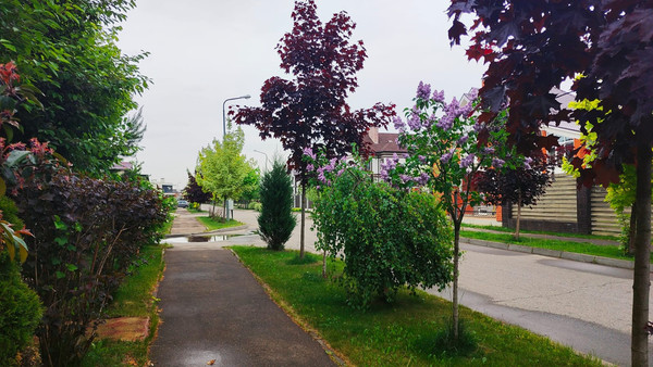 Продам дом, Грушевая ул, 24к1, Заболотье д, 0 км от города