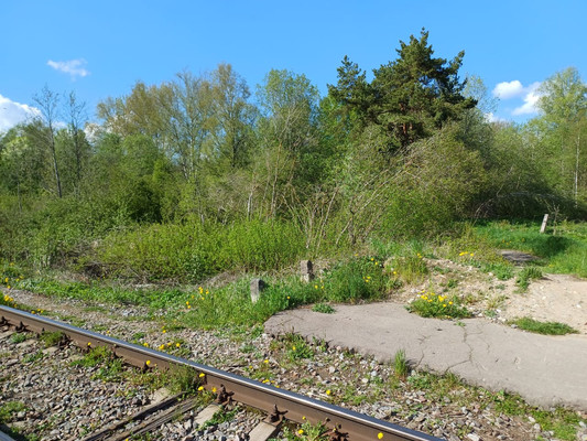 Продам землю для коммерческого использования 28 соток, Новая ул, Великий Новгород г