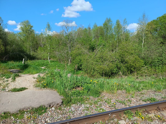 Продам землю для коммерческого использования 28 соток, Новая ул, Великий Новгород г