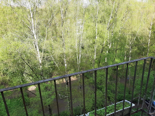 Продам двухкомнатную (2-комн.) квартиру, Карпинского ул, 14, Санкт-Петербург г