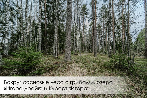 Продам дом, Сосновая ул, 10, Силино д, 0 км от города