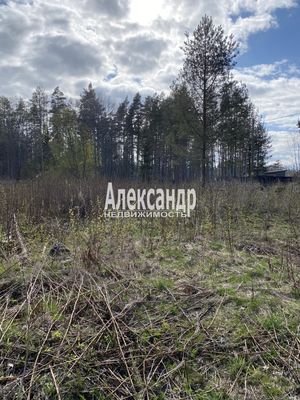 Продам участок 10 соток, Садоводство, СНТ Александринка тер, Массив Ремесленник дп, 134 км от города