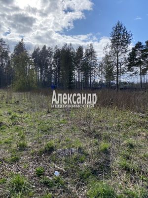 Продам участок 10 соток, Садоводство, СНТ Александринка тер, Массив Ремесленник дп, 134 км от города
