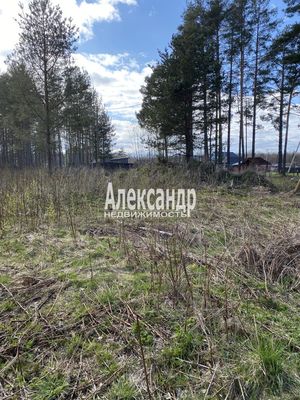 Продам участок 10 соток, Садоводство, СНТ Александринка тер, Массив Ремесленник дп, 134 км от города