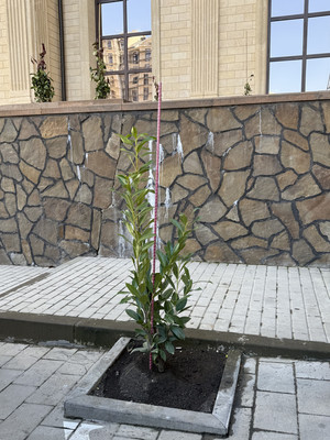 Продам трехкомнатную (3-комн.) квартиру, Ленина пр-кт, 1кД, Нальчик г