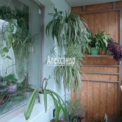Продам однокомнатную (1-комн.) квартиру, Верхняя ул, 1к2, Низино д