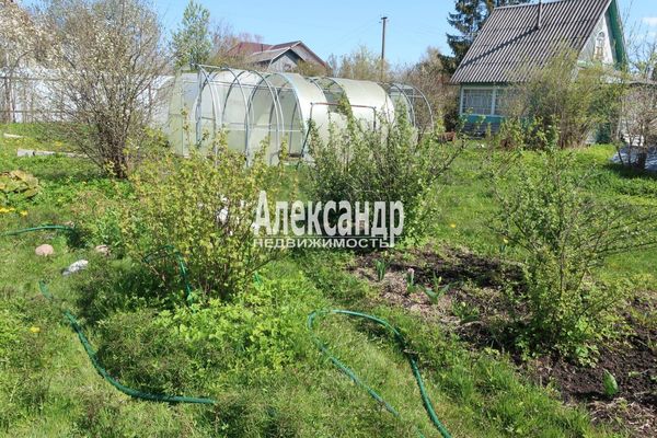 Продам дачу в поселке Восход-5, Тружеников (Восход-4 тер. СНТ) ул, 13, Восход массив, 40 км от города