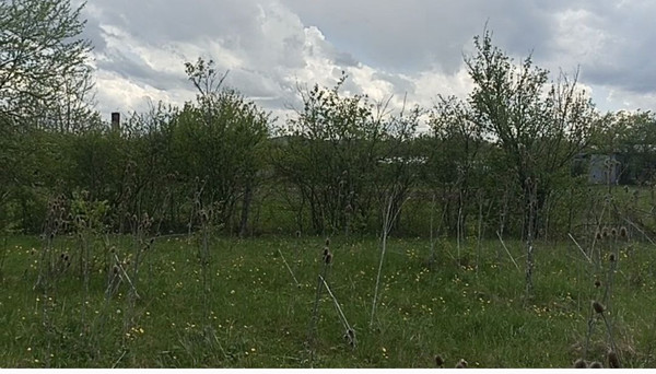 Продам участок 20,1 соток, ИЖС, Крестьянская ул, Абадзехская ст-ца, 0 км от города