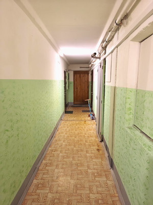 Продам однокомнатную (1-комн.) квартиру, Художников пр-кт, 4Ак1, Санкт-Петербург г