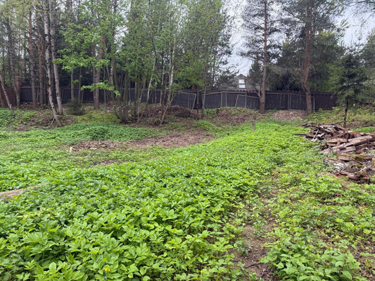 Продам участок 12 соток, ИЖС, Южная ул, Жевнево д, 0 км от города