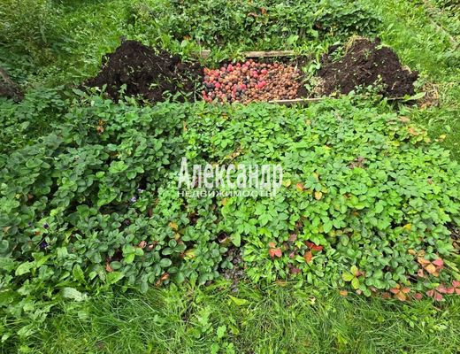Продам дачу, Цветочная (СНТ Вуокса тер.) ул, 104, Массив Бойцово дп, 130 км от города