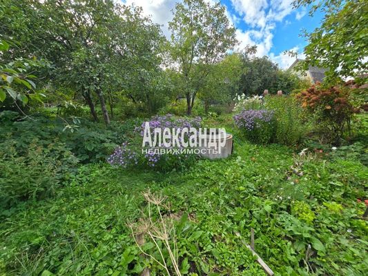 Продам дачу, Цветочная (СНТ Вуокса тер.) ул, 104, Массив Бойцово дп, 130 км от города
