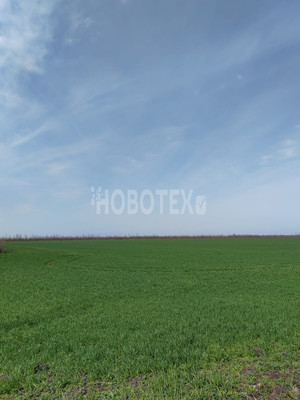 Продам дом, Колхозная ул, 39, Скобелевская ст-ца, 0 км от города