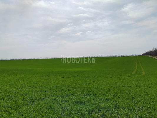 Продам дом, Колхозная ул, 39, Скобелевская ст-ца, 0 км от города