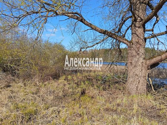 Продам участок 25 соток, ИЖС, Тихая ул, Мельниково п, 133 км от города