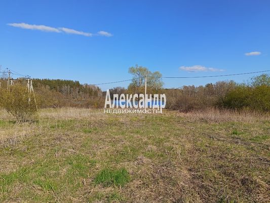 Продам участок 25 соток, ИЖС, Тихая ул, Мельниково п, 133 км от города