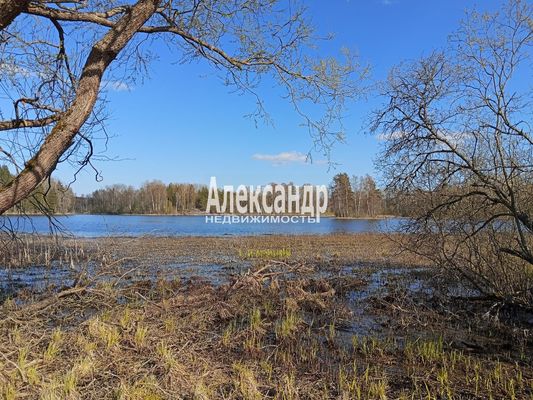 Продам участок 25 соток, ИЖС, Тихая ул, Мельниково п, 133 км от города