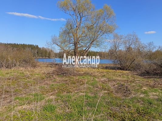 Продам участок 25 соток, ИЖС, Тихая ул, Мельниково п, 133 км от города