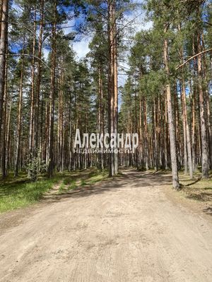Продам дом, Лесная ул, Приозерск г, 130 км от города
