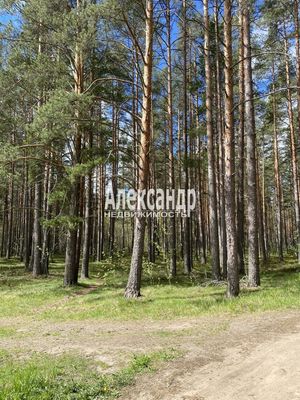 Продам дом, Лесная ул, Приозерск г, 130 км от города