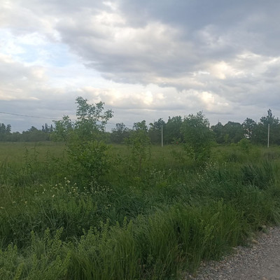 Продам участок 4,7 соток, ИЖС, Мира ул, Родники п, 0 км от города