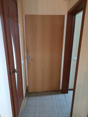 Продам однокомнатную (1-комн.) квартиру, Красносельское (Горелово тер.) ш, 56к1, Санкт-Петербург г