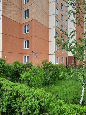 Продам однокомнатную (1-комн.) квартиру, Красносельское (Горелово тер.) ш, 56к1, Санкт-Петербург г