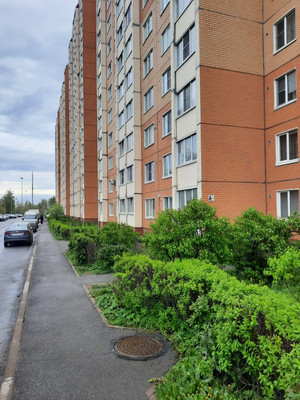 Продам однокомнатную (1-комн.) квартиру, Красносельское (Горелово тер.) ш, 56к1, Санкт-Петербург г