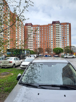 Продам однокомнатную (1-комн.) квартиру, Красносельское (Горелово тер.) ш, 56к1, Санкт-Петербург г