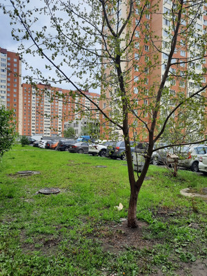 Продам однокомнатную (1-комн.) квартиру, Красносельское (Горелово тер.) ш, 56к1, Санкт-Петербург г