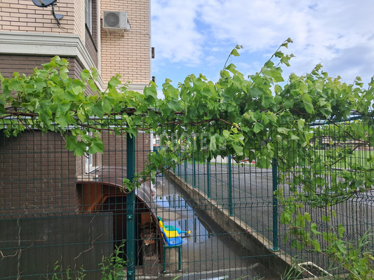 Продам склад 34,5 м2, Закруткина ул, 47, Горячий Ключ г