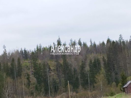 Продам участок 10 соток, Садоводство, поселок СОЛНЕЧНОЕ, Солнечное(п.Медянка) снт, 15 км от города