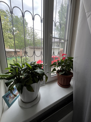 Продам трехкомнатную (3-комн.) квартиру, Школьная ул, 1/3, Ростов-на-Дону г