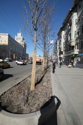 Продам офисное помещение 138 м2, Большая Садовая ул, 10, Москва г