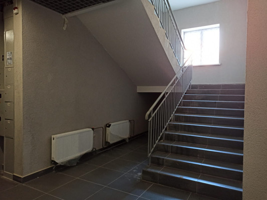 Продам однокомнатную (1-комн.) квартиру, Березовая Роща ул, 12, Редькино д