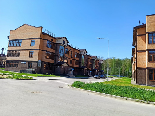 Продам однокомнатную (1-комн.) квартиру, Березовая Роща ул, 12, Редькино д