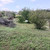 Продам участок 10 соток, Фермерское хоз., Медик снт, Лозовое с, 0 км от города