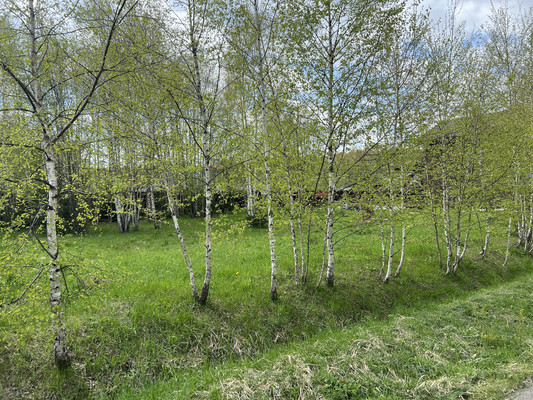Продам участок 8,39 соток, Садоводство, ДНП Роса тер, Марково-Курсаково д, 0 км от города