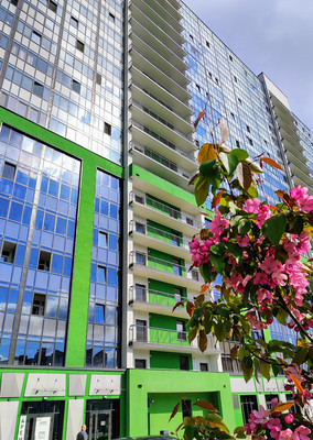 Сдам двухкомнатную (2-комн.) квартиру, Строителей пр-кт, 16к2, Кудрово г