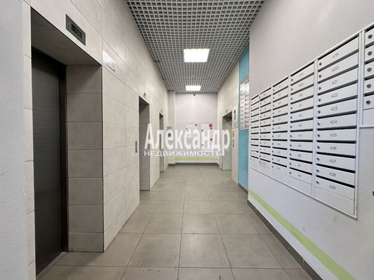 Продам однокомнатную (1-комн.) квартиру, Пейзажная ул, 24к2, Санкт-Петербург г