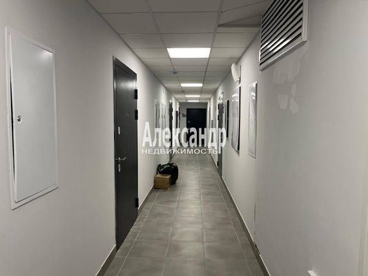 Продам однокомнатную (1-комн.) квартиру, Шоссе в Лаврики ул, 53к2, Мурино п