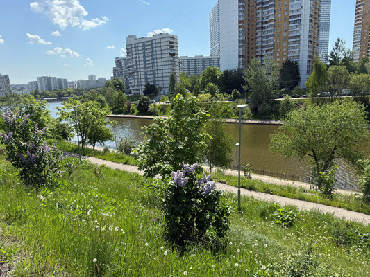 Продам однокомнатную (1-комн.) квартиру, Балаклавский пр-кт, 15, Москва г