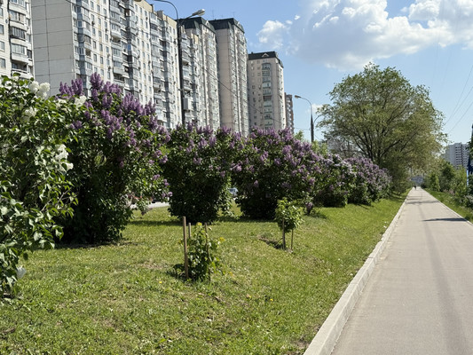 Продам однокомнатную (1-комн.) квартиру, Балаклавский пр-кт, 15, Москва г