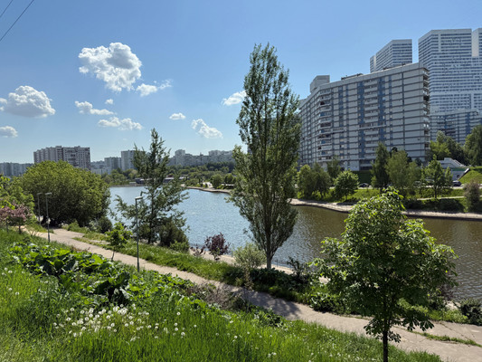 Продам однокомнатную (1-комн.) квартиру, Балаклавский пр-кт, 15, Москва г