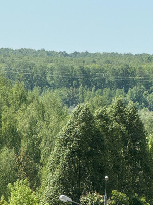 Продам трехкомнатную (3-комн.) квартиру, Радужная ул, 6к1, Видное г