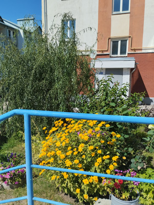 Продам однокомнатную (1-комн.) квартиру, Коннозаводская ул, 53, Пенза г